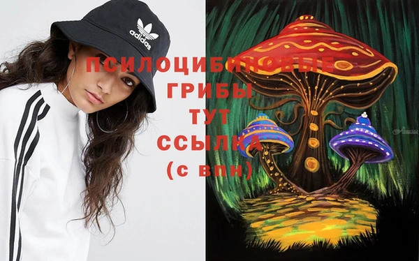 индика Алексин