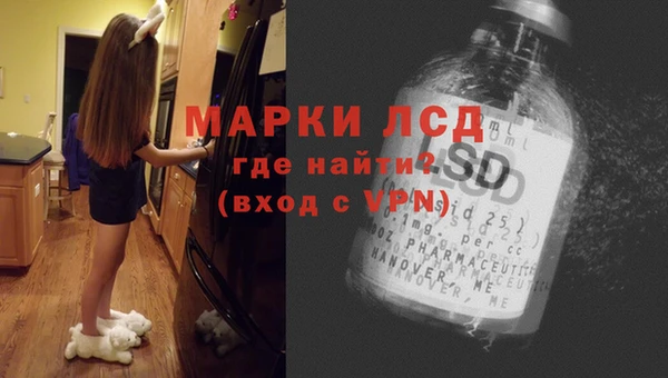 индика Алексин